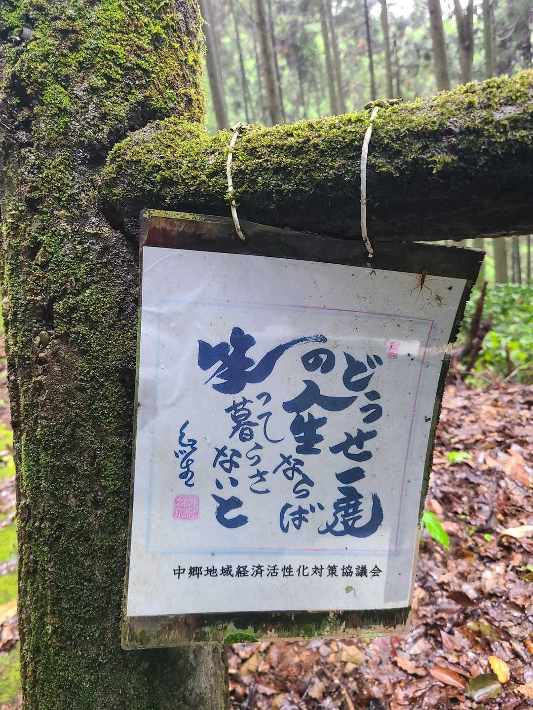 金御岳 往復コースの写真