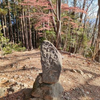 五ノ峰
主峰なのに展望なし！
残念😞