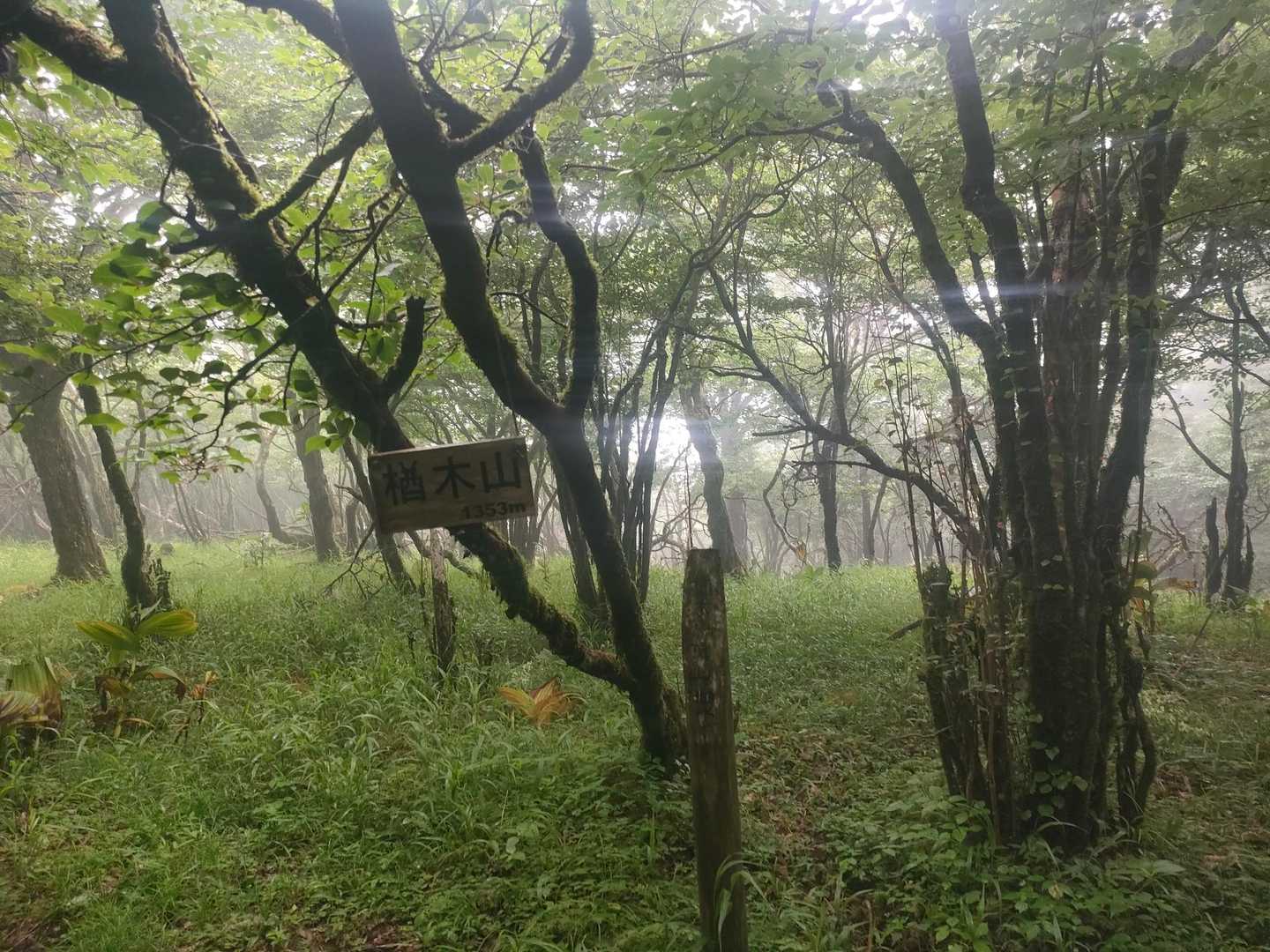 大洞山