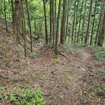 こちら側でも、トレンチ状にえぐれた古い道と並走する箇所がありました。