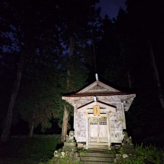 暗い暗い鳥坂神社