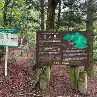 三つ峠登山口からスタート