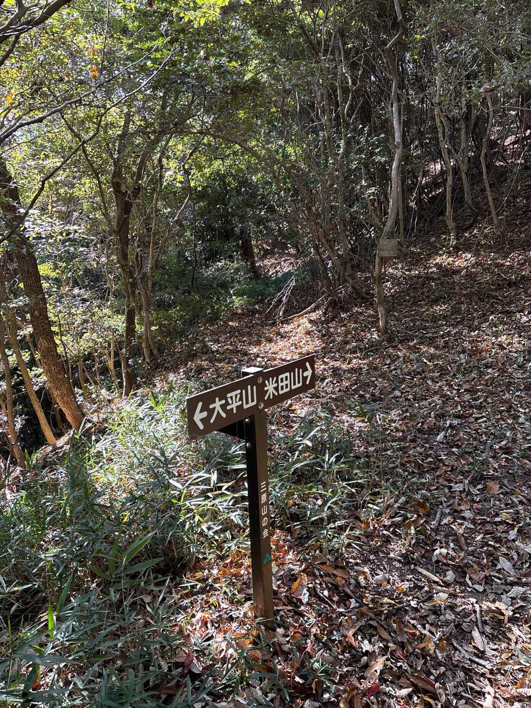赤石バス停-大師堂-観音寺奥の院-鉢ヶ峰-大平山-米田山- 縦走コースの写真
