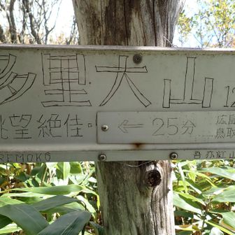 コルには持丸山ではなく多里大山の名が書かれてました