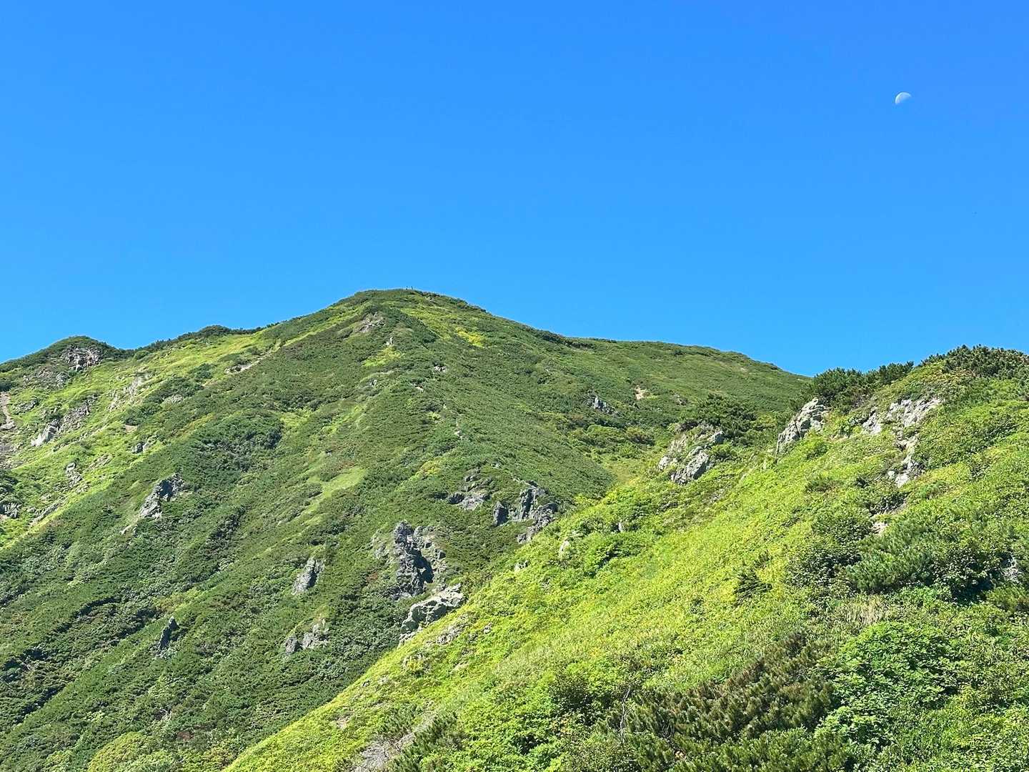 シュナイダーコース | 絶景を目指して、石狩岳の北海道三大急登に挑むの写真