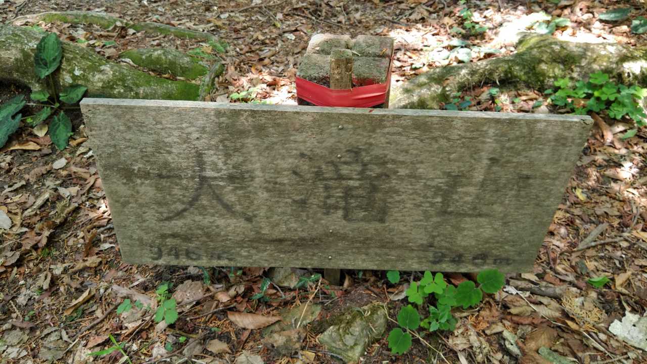 寂しい大滝山山頂