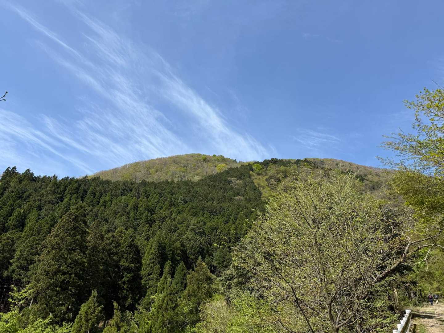 良いお天気です