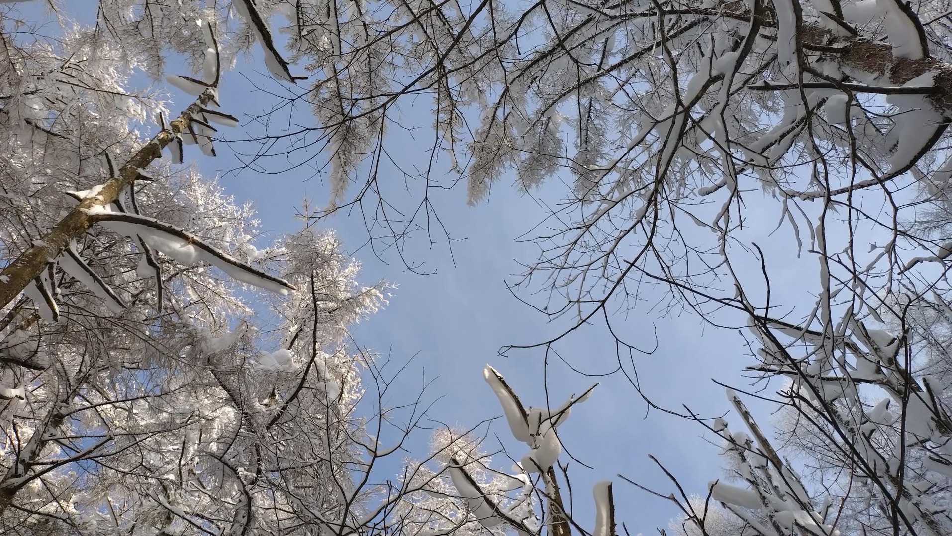 最高な予感しかしない