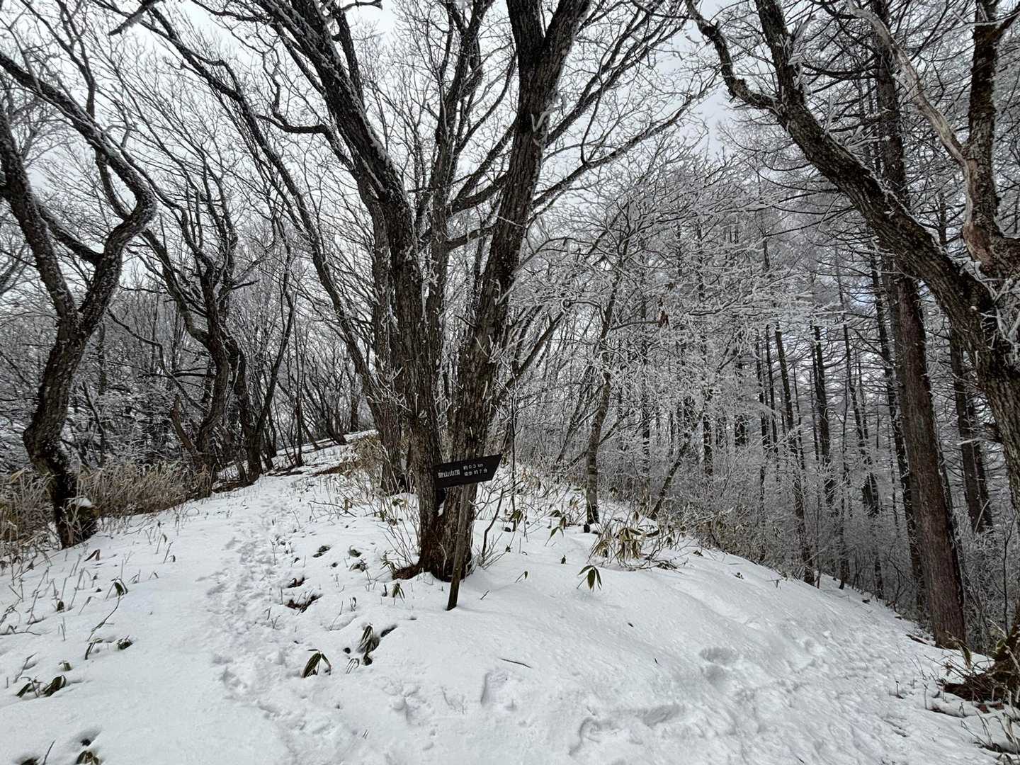 三和峠-風越-聖峠-聖山 往復コースの写真