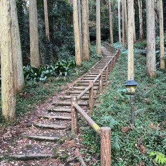 ここが八房が伏姫を背負って歩いた階段かな？