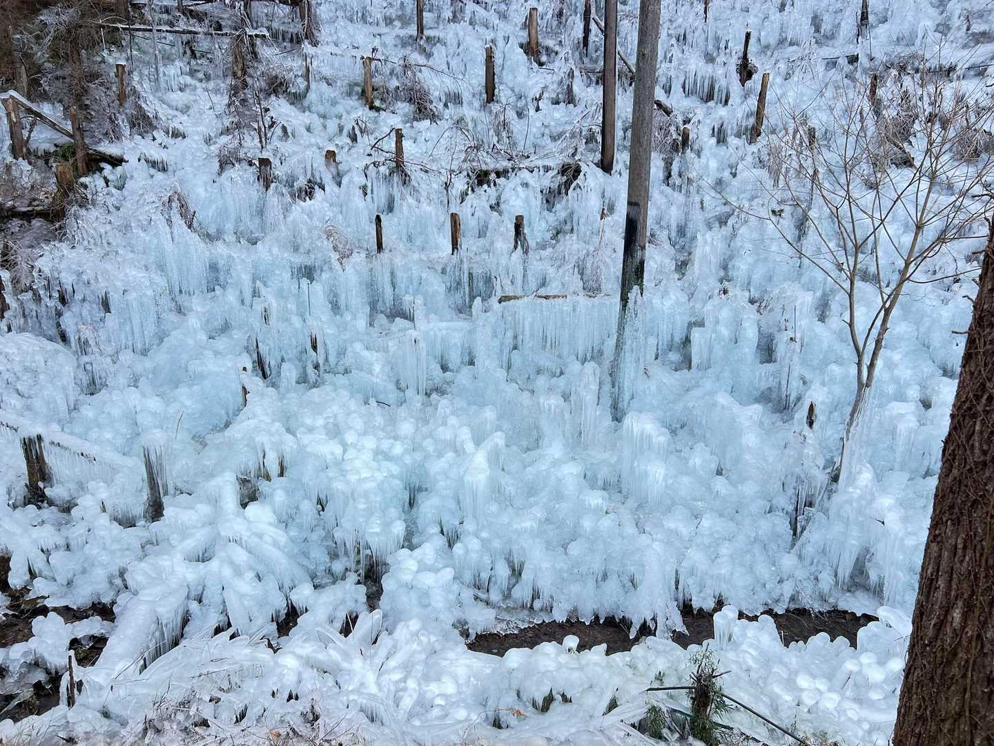 名郷バス停-前武川岳-武川岳-蔦岩山-焼山-二子山-芦ヶ久 縦走コースの写真