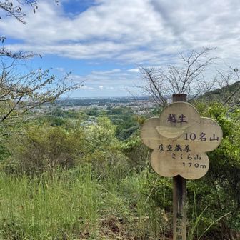 越生のお気に入りスポット、虚空蔵尊さくら山。
春は桜🌸やツツジ🌺が咲き誇ります。