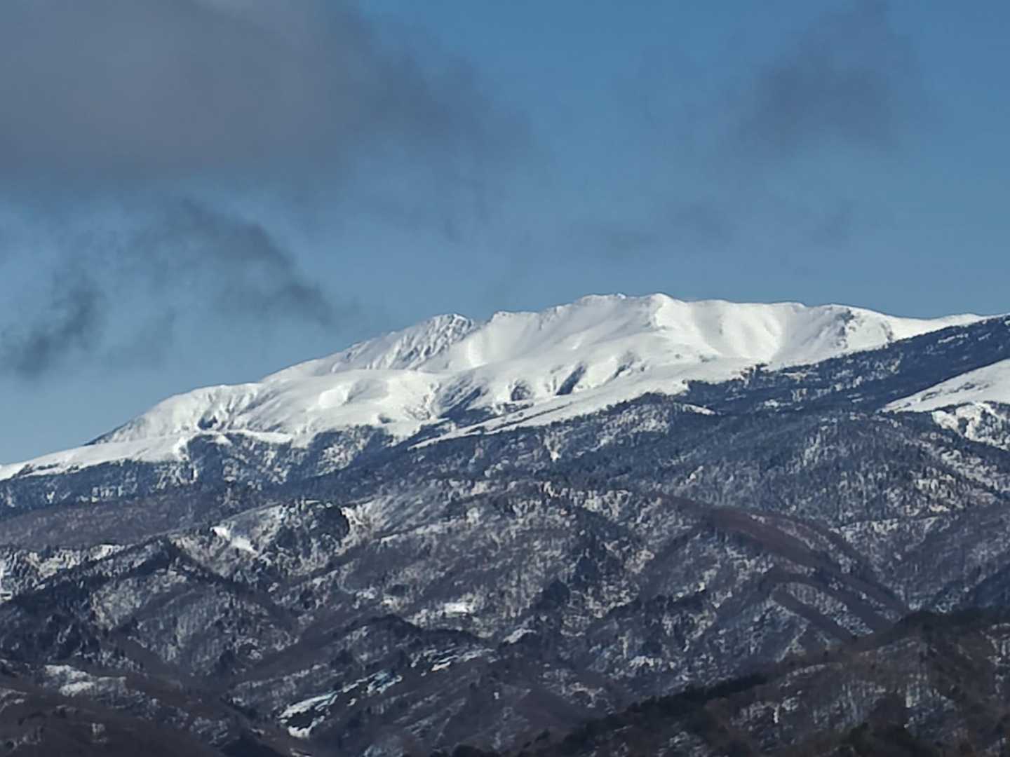 ヤマップ平・天蓋山 往復コースの写真