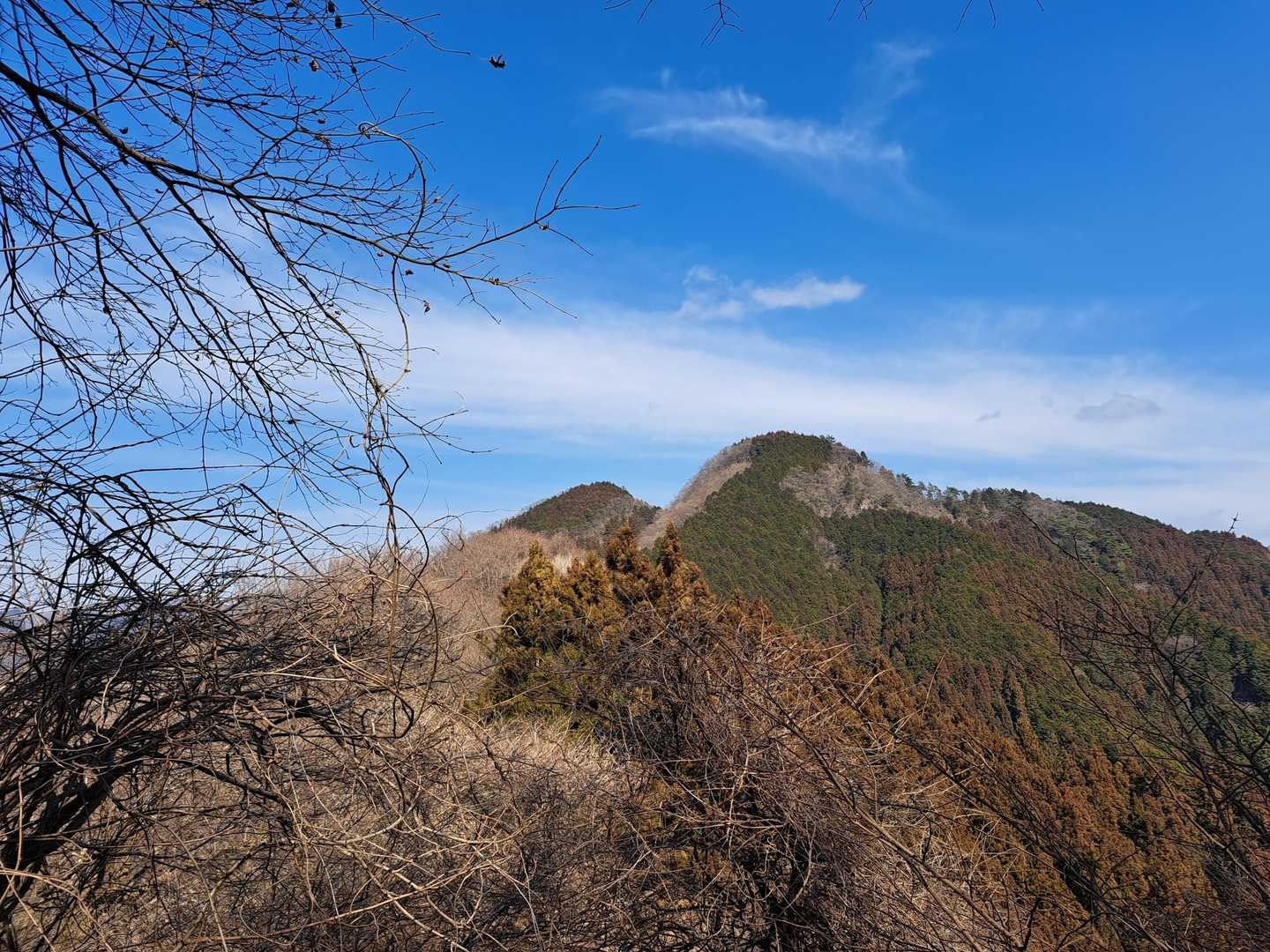 これから登る二子山