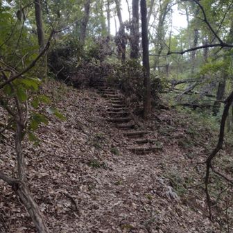 唐沢山まで行く予定でしたが
倒木があり通れないため引き返しました