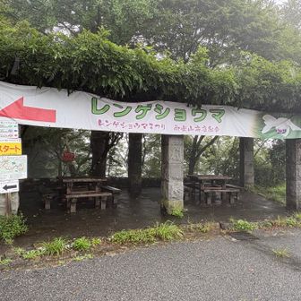 ケーブルカー御岳山駅の隣にレンゲショウマまつりの案内