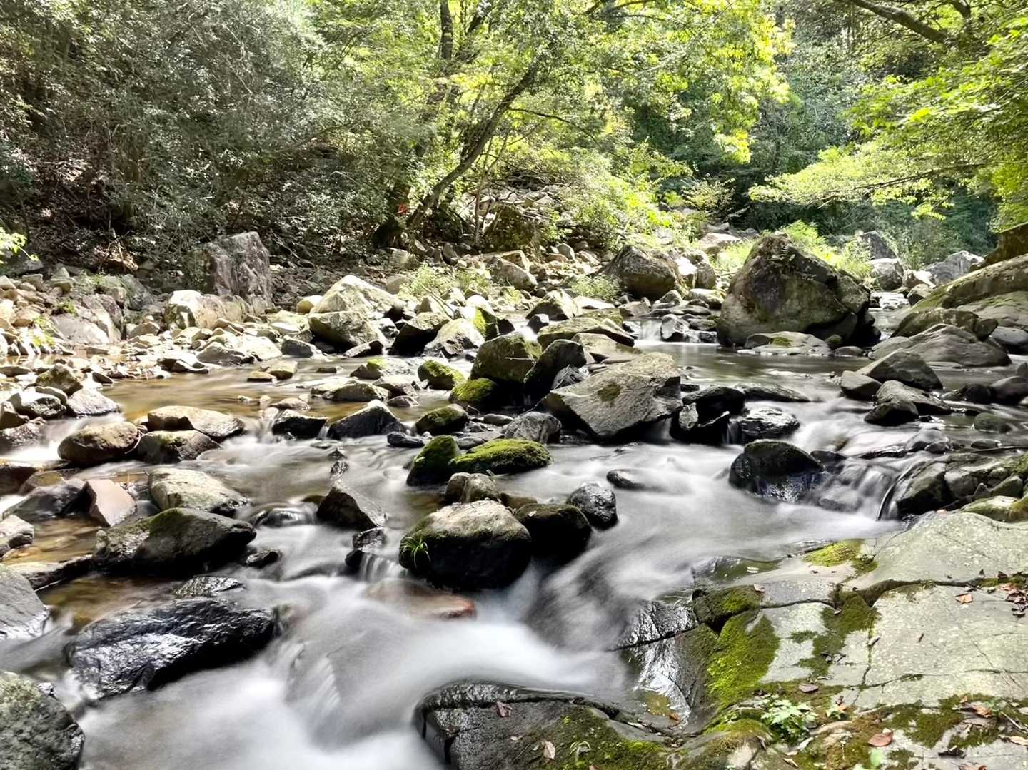 百丈岩-静ヶ池 周回コースの写真