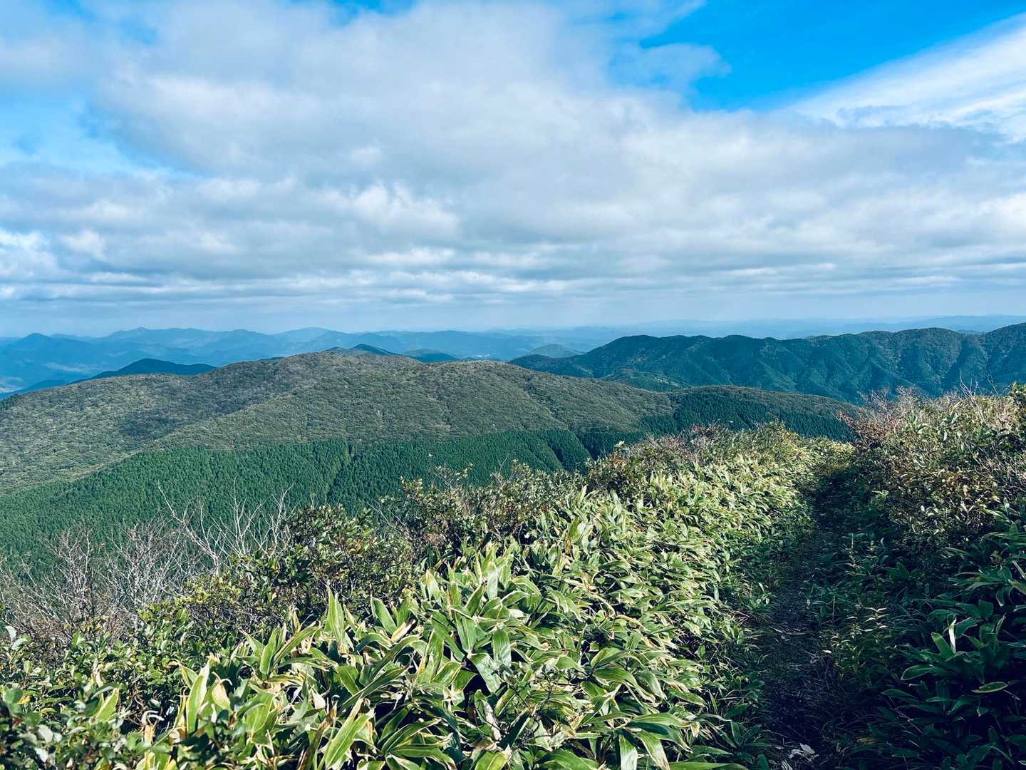 月見が丘登山口-岩樋山-道後山-多里大山 周回コースの写真