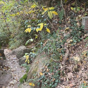 このNo.21のところね！