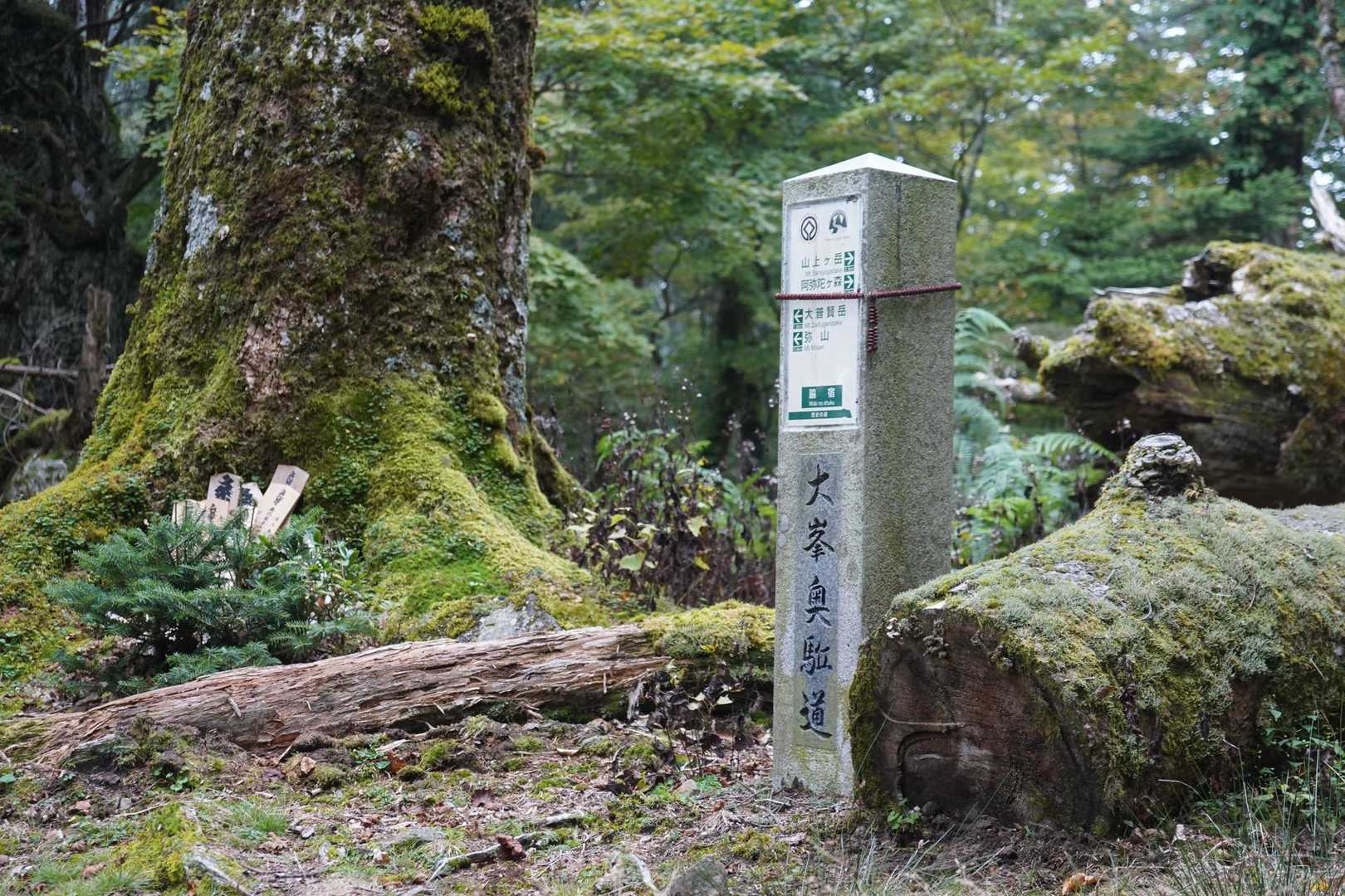 大普賢岳-明王ヶ岳-伯母谷覗 往復コースの写真