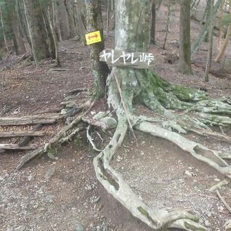 ヤマビルだらけのザレたトラバース・やれやれだぜー