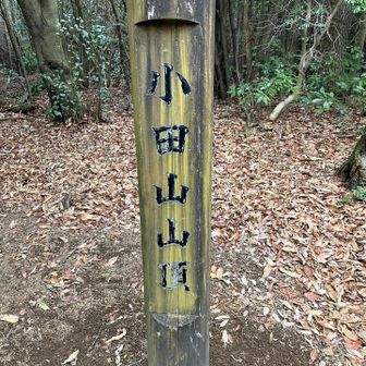 やっぱり達成感ありますね