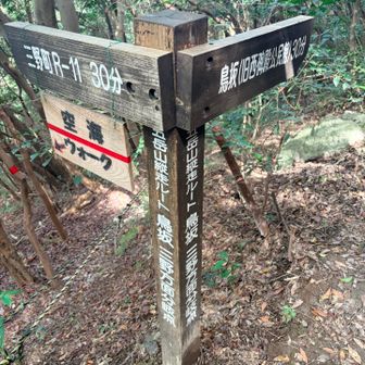 蜘蛛の巣多かった