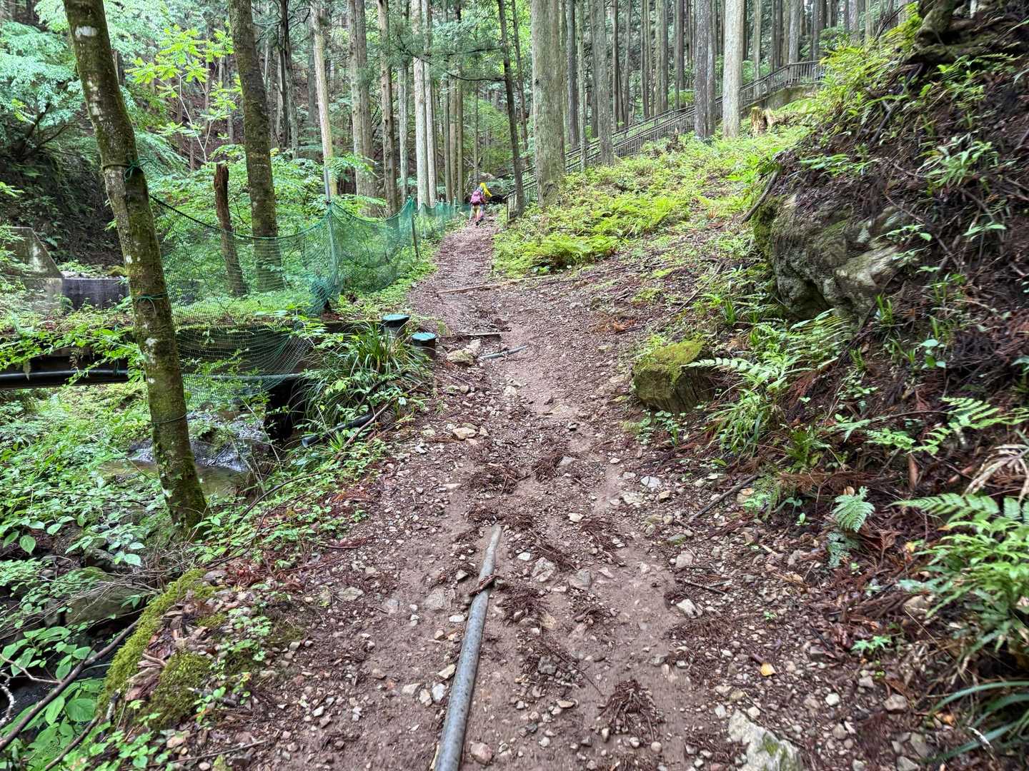 登山道スタート