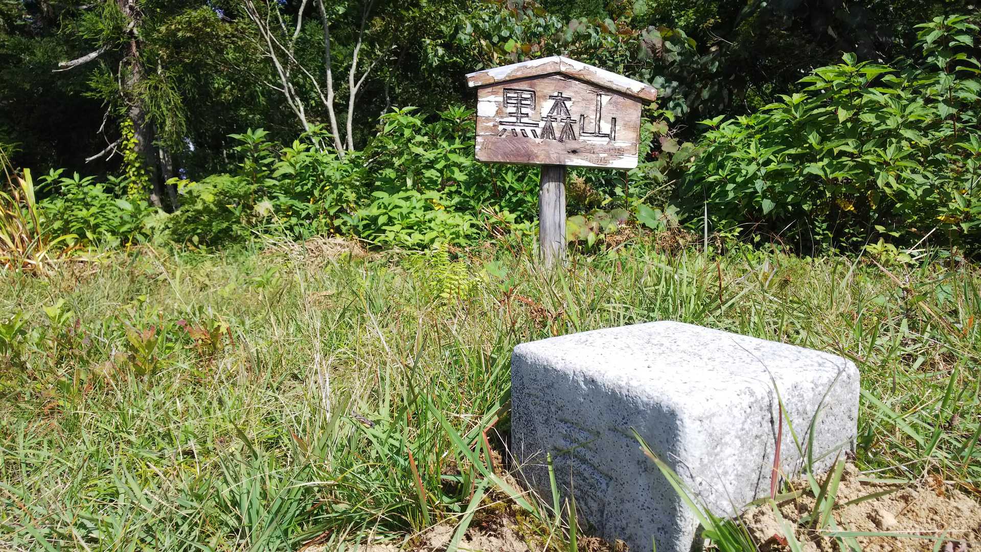 山頂到着♪