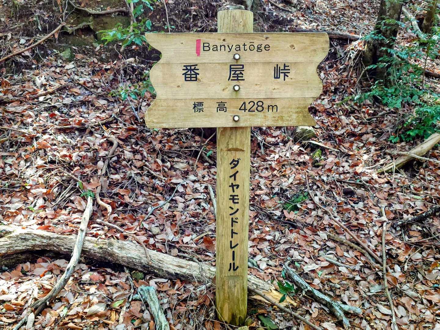 番屋峠まできました ✨