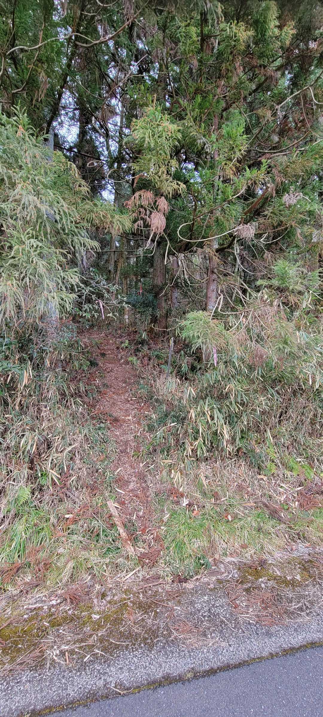 刑務所横の登山口