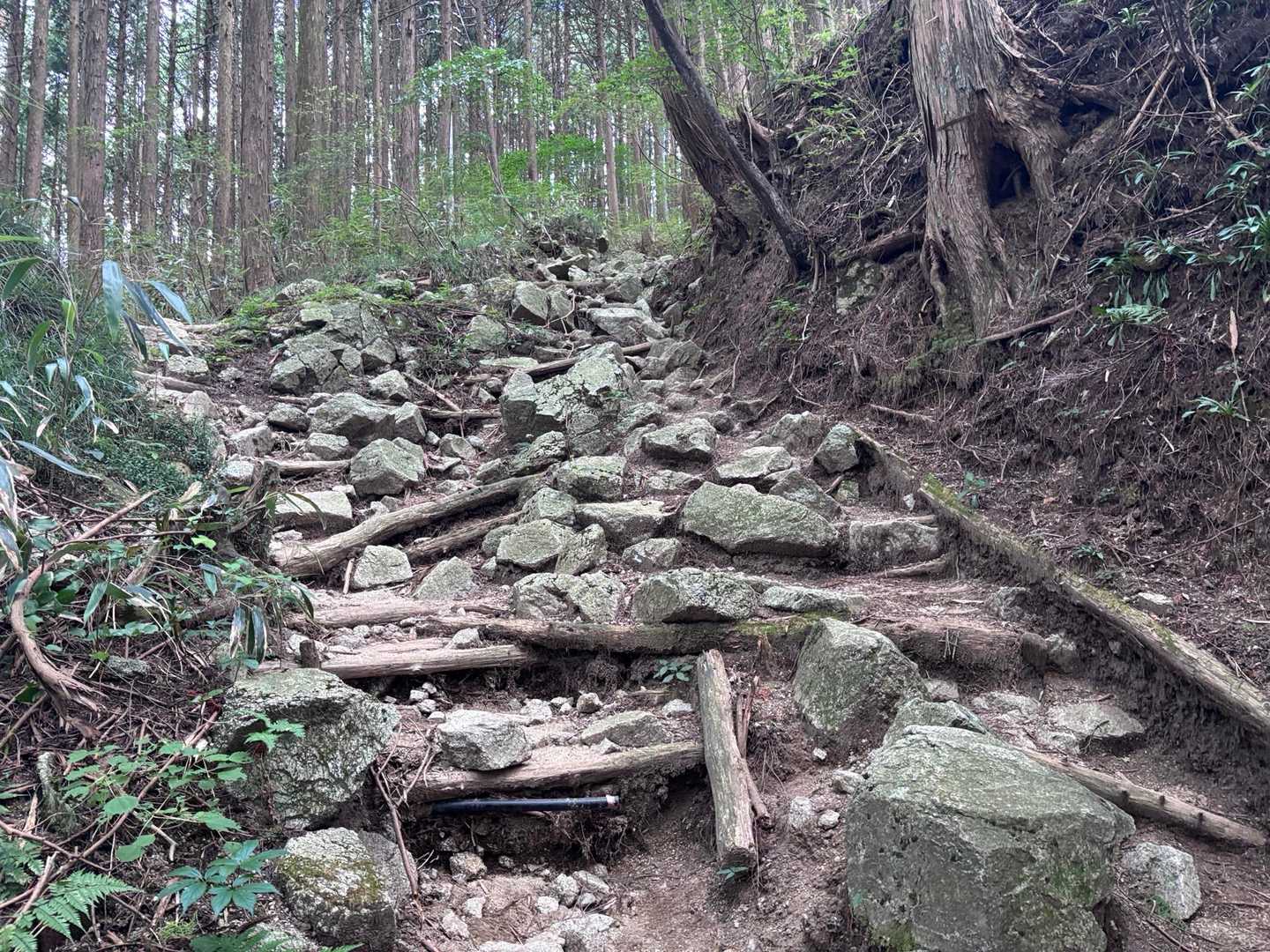 登りの後半　疲れてる時に　足場の悪い登り