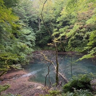 支流からの流れ