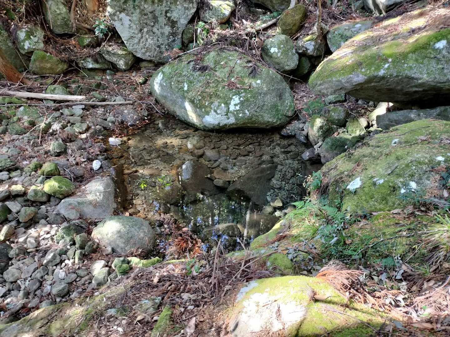 池の水が綺麗