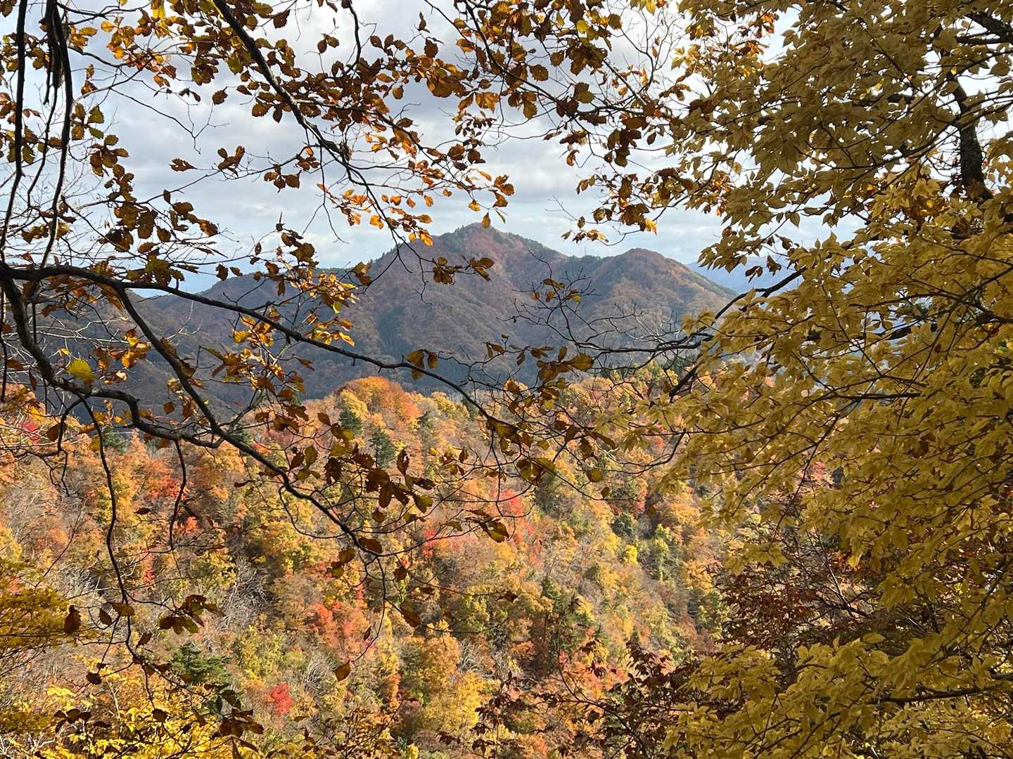 手前の紅葉がちょうどいい感じです。