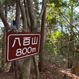凄い複雑な気持ちだけど