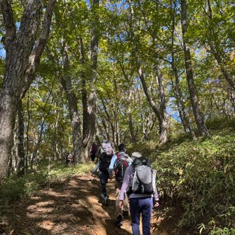 よく整備されてる登山道です。