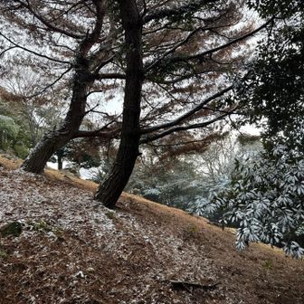 良きかな✨良きかな✨