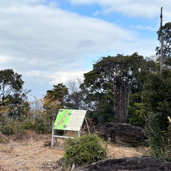 山頂🏔️で🍙