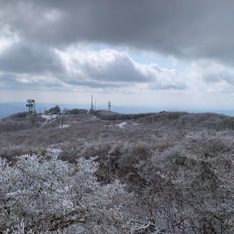 白を赤に置き換えて見てください
ツツジが真っ赤です！