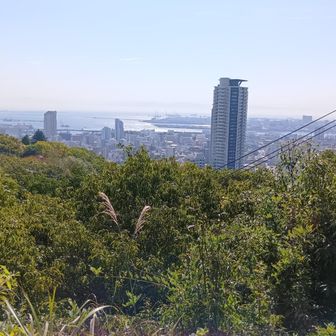 展望公園より