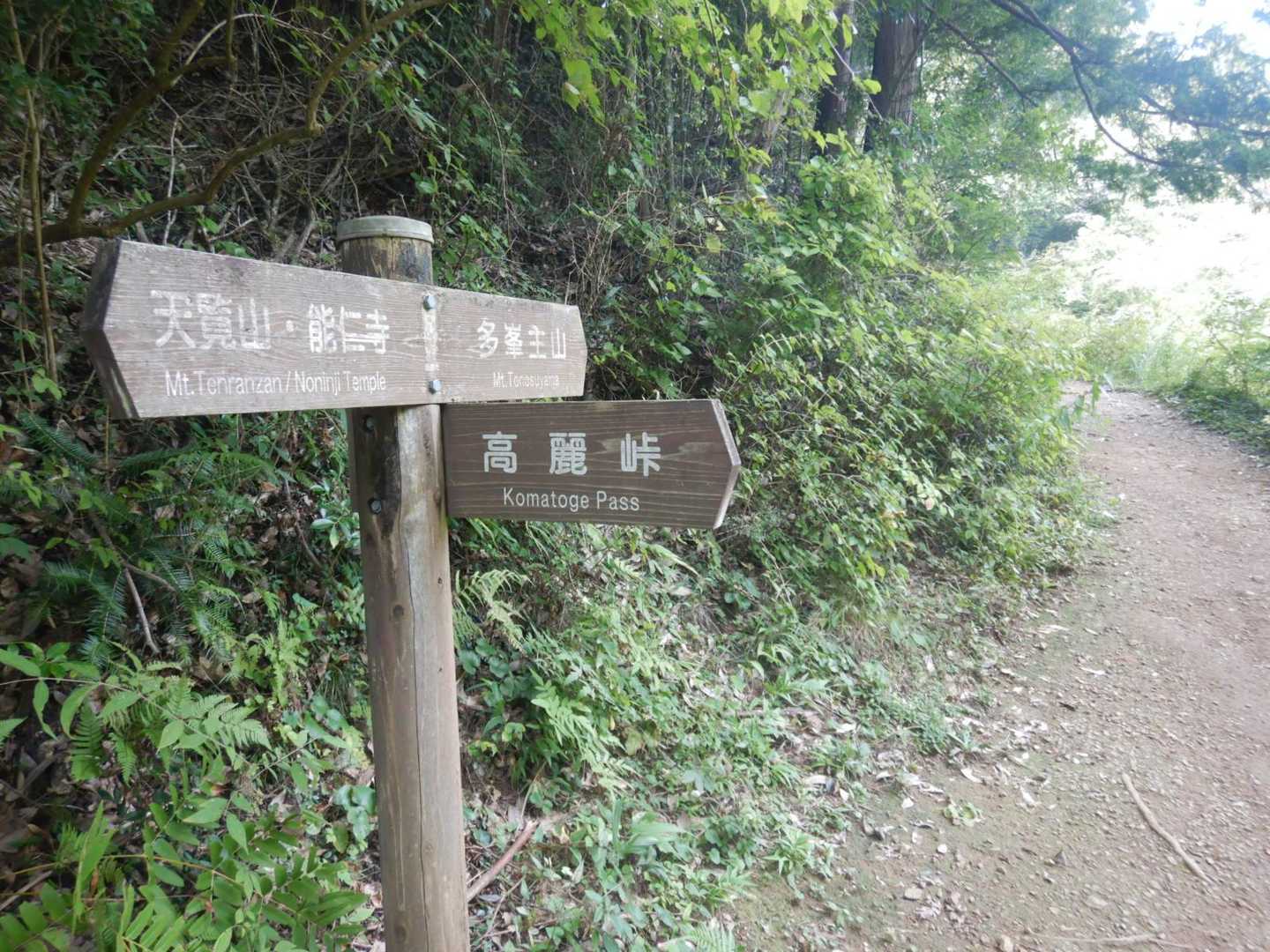 飯能駅-天覧山-天覧山 往復コースの写真