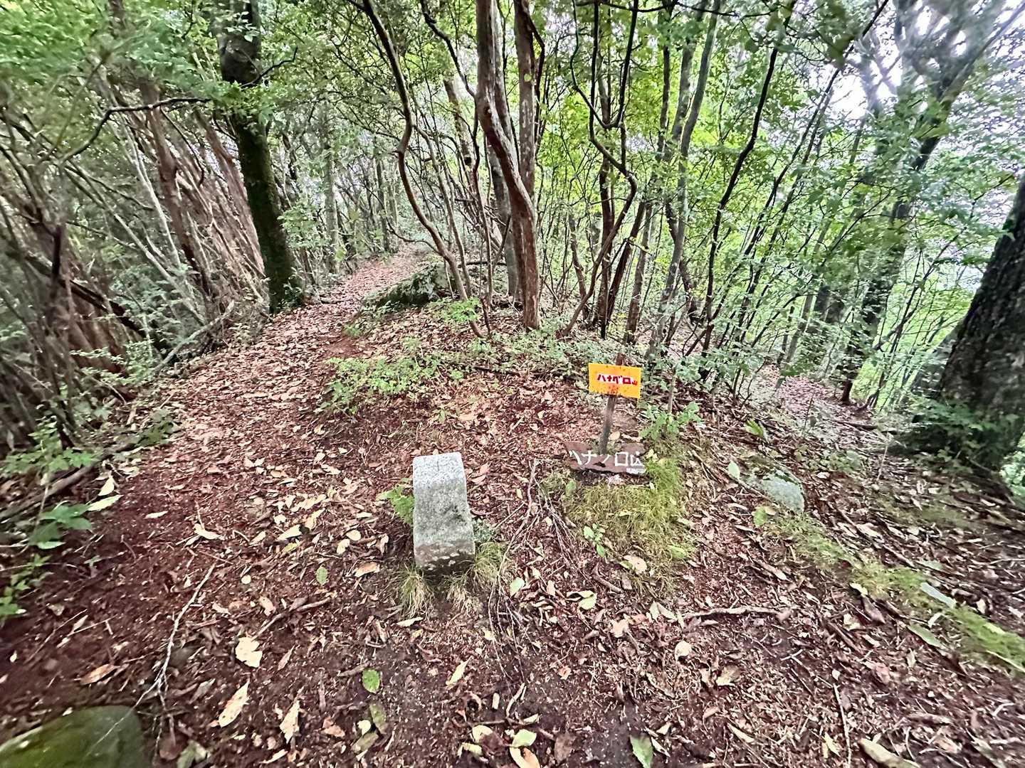 ハナグロ山🏔🙌
この直後…土砂降りの雨と雷⛈⚡
雷近くて怖かった😱
ずぶ濡れで下山🤣