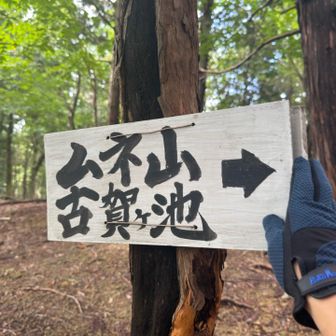 次は別のルートから小島山に登ってムネ山まで縦走します

ここまで眺望が無かったから行きたかったなぁ
この先に眺望があるのかは知らんけど