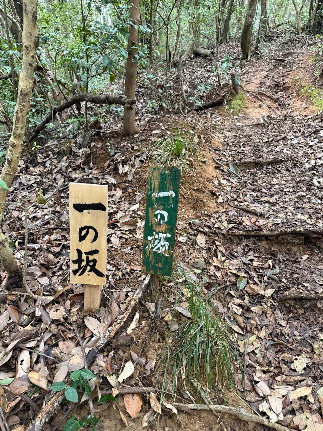 木葉山登山道入り口-休憩所-高塚山-松ヶ平山 往復コースの写真