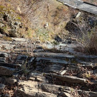 ガクブルするけどこの高度感なれないと北アルプスの難所なんて夢のまた夢