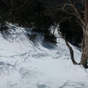 なかなかの急登でした