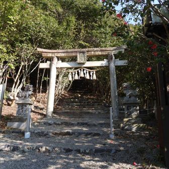 これより登山　階段ヤバ