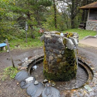 登山口付近の湧き出るお水の
美味しさったらないです
顔をジャブジャブ洗えて
超絶気持ち良し