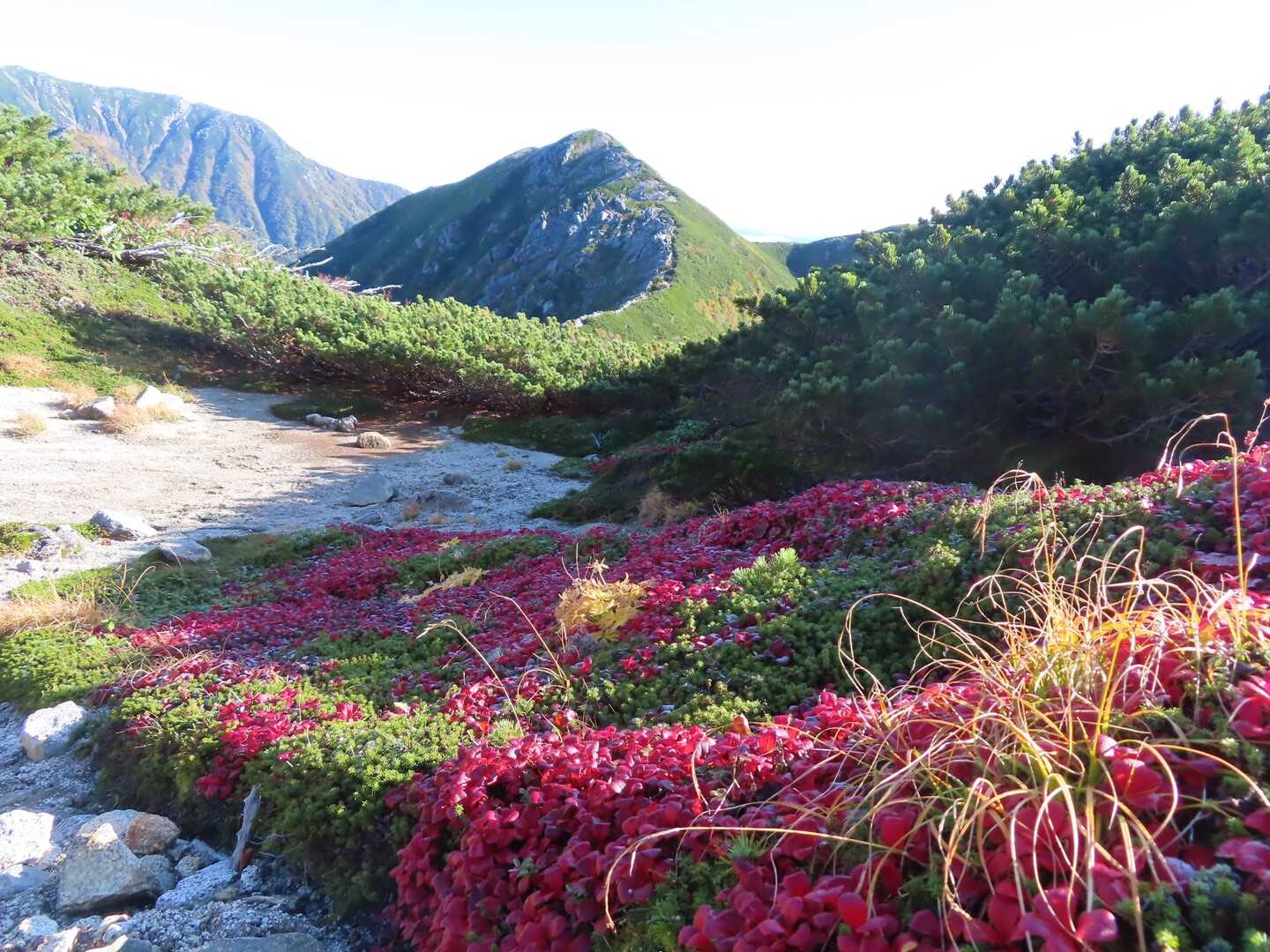 大滝山の写真